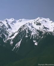 View of Olympic Mountains from Hurricane Ridge